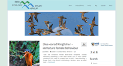 Desktop Screenshot of besgroup.org